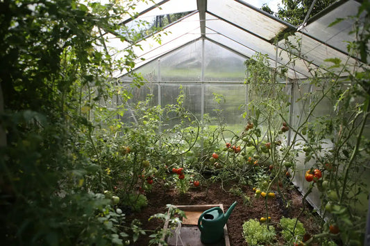 Come scegliere il telo per una serra in giardino