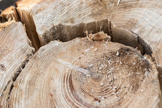 Come tagliare un ceppo d'albero e togliere le radici