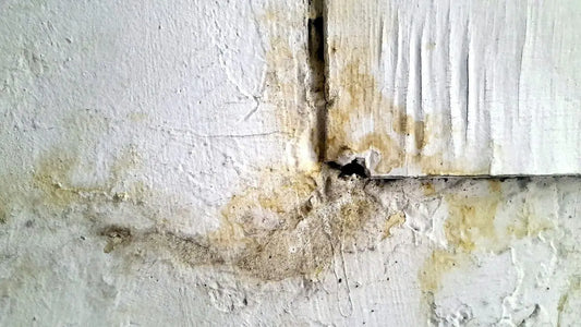 Umidità di risalita: cos'è e come toglierla definitivamente dai muri