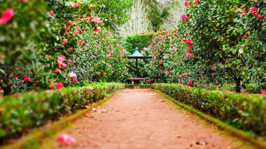 Come sistemare il vialetto del giardino: la manutenzione ordinaria